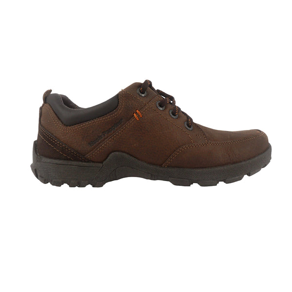 Zapatos  Roberto Oxford 3.0 cafe para Hombre